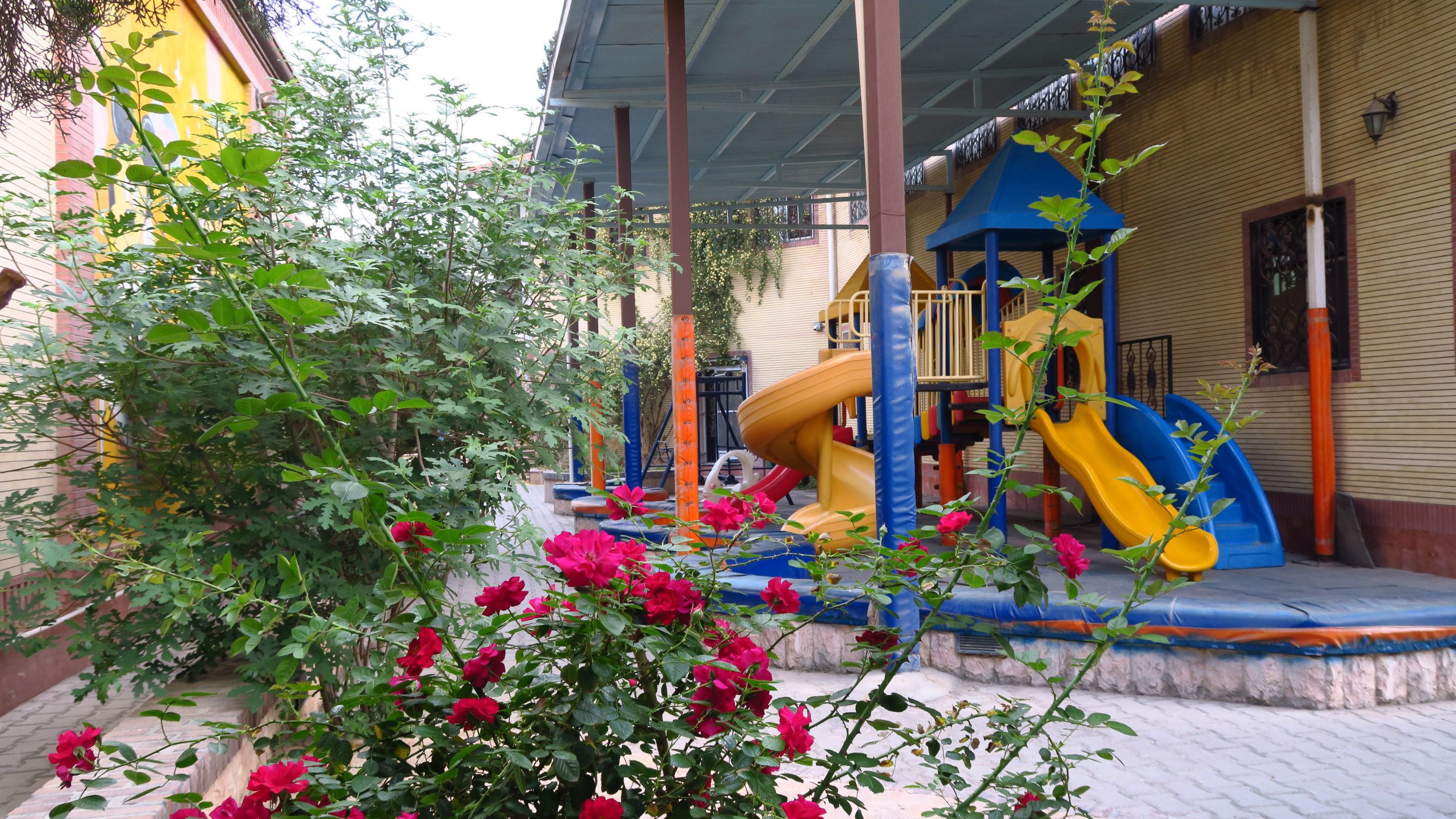 محوطه بیرونی موسسه کرمانیان (36)